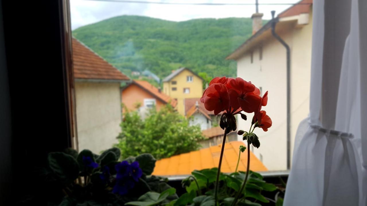 Apartman Jovanovic Bajina Basta Esterno foto